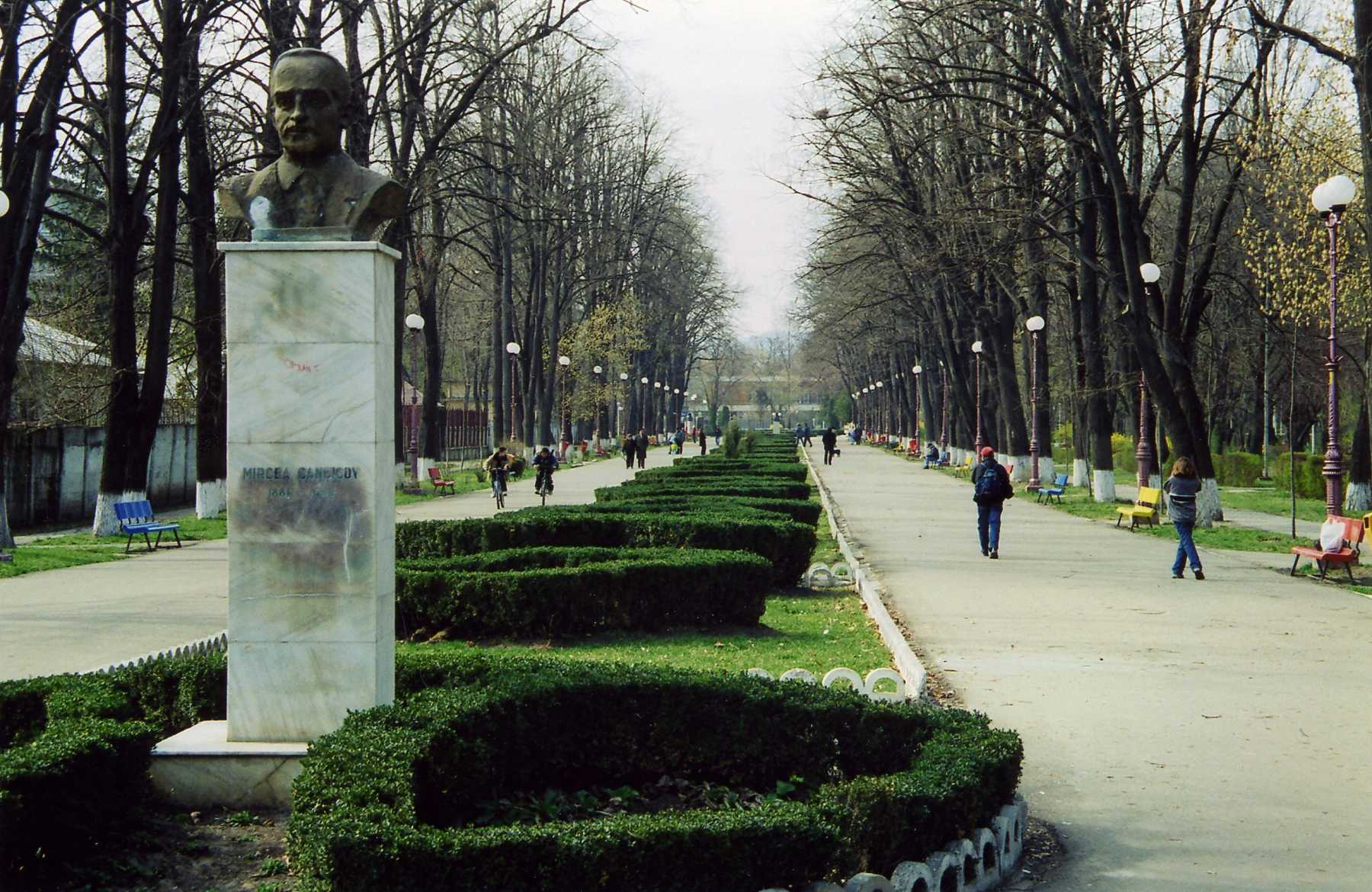 Bacău