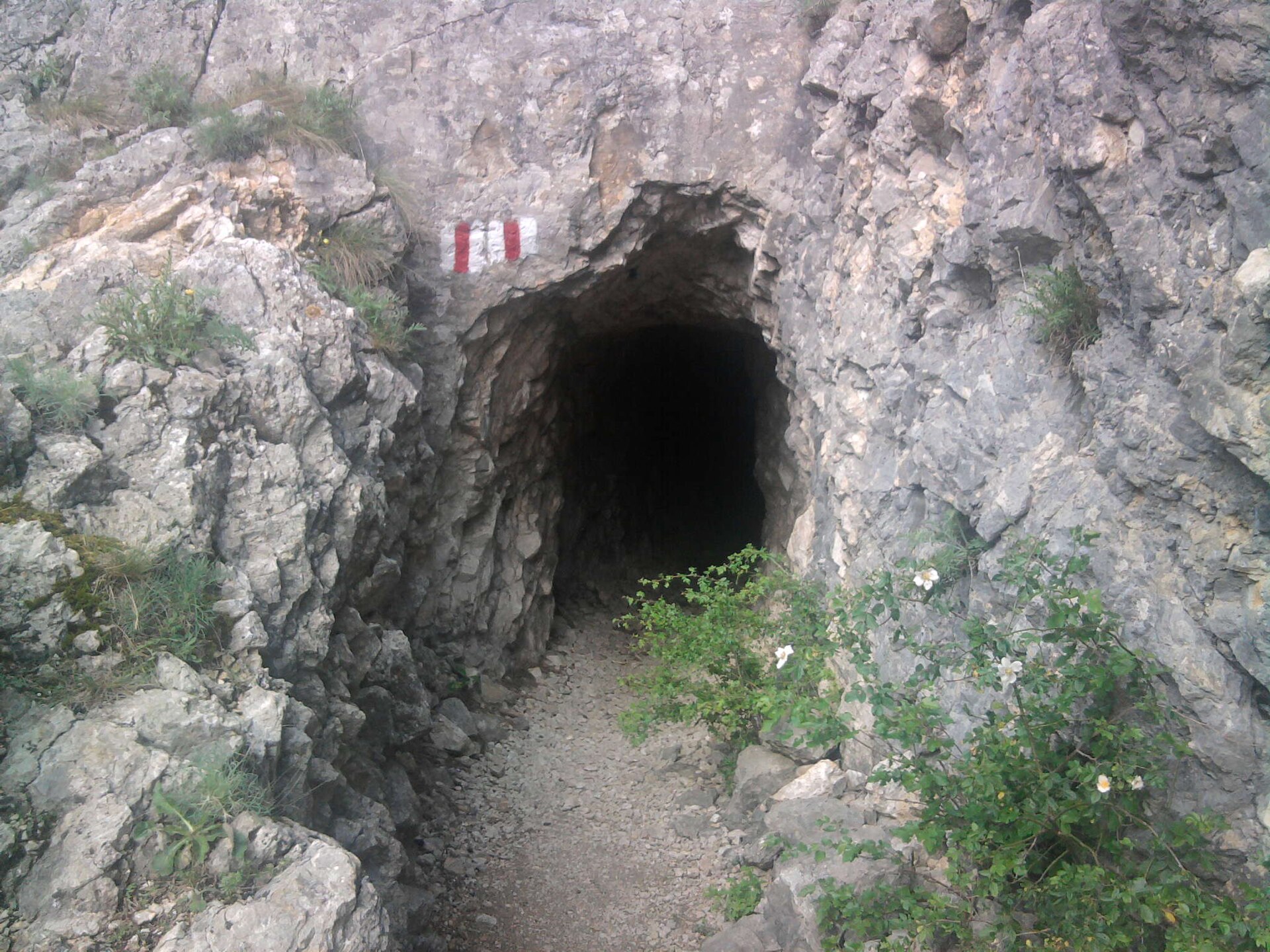 Caraș-Severin